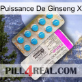 Ginseng Power X new07